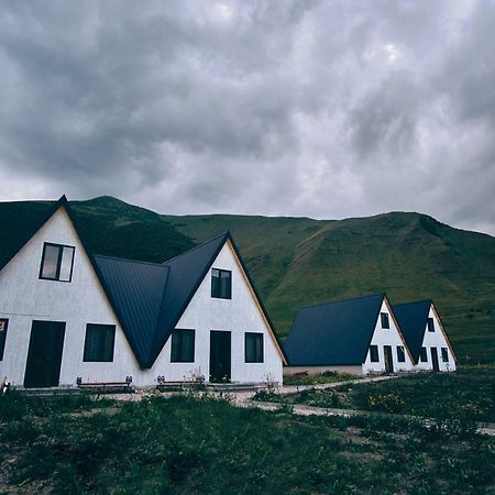 Hotel Twins Achkhoti Казбеги Экстерьер фото